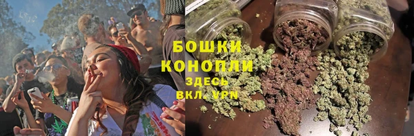 PSILOCYBIN Абаза